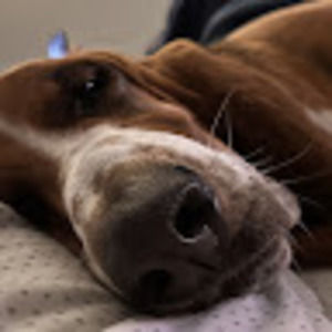 Meet your Posher, Evelyn